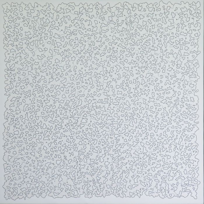 横山真理「untitled」イメージ